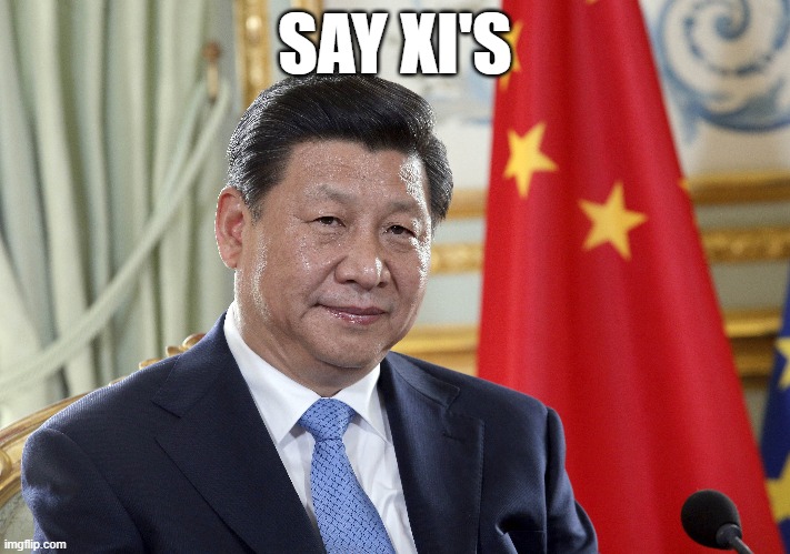 Xi | SAY XI'S | image tagged in cheese,xi jinping,picture | made w/ Imgflip meme maker