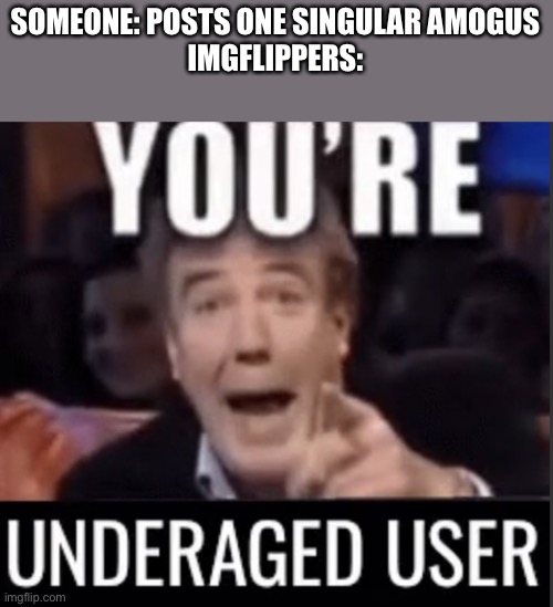 Imgflippers in a nutshell | SOMEONE: POSTS ONE SINGULAR AMOGUS
IMGFLIPPERS: | image tagged in you re underage user | made w/ Imgflip meme maker