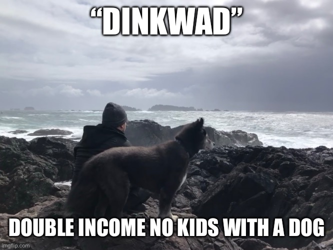 Dinkwad | “DINKWAD”; DOUBLE INCOME NO KIDS WITH A DOG | image tagged in funny memes | made w/ Imgflip meme maker