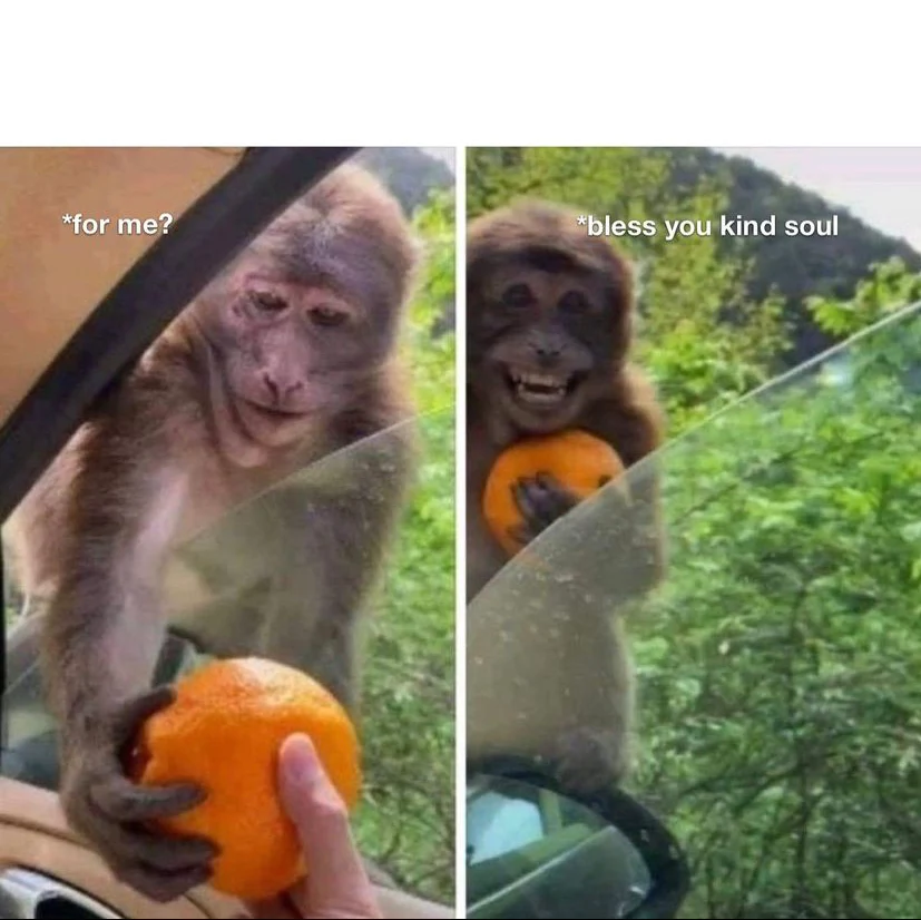 Monkey receiving Blank Meme Template