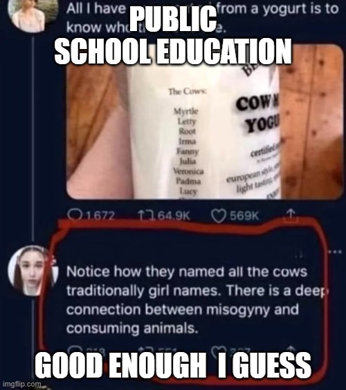 public schools | PUBLIC SCHOOL EDUCATION; GOOD ENOUGH  I GUESS | image tagged in education,teachers,epic fail,fail army | made w/ Imgflip meme maker