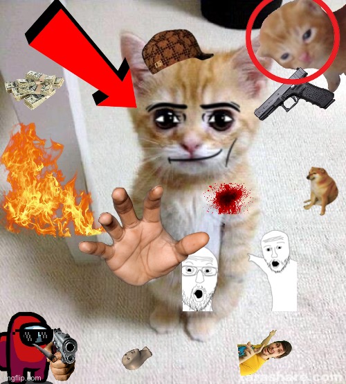 MAdE A BESt mEme (gONe wrOnG) | image tagged in el gato | made w/ Imgflip meme maker