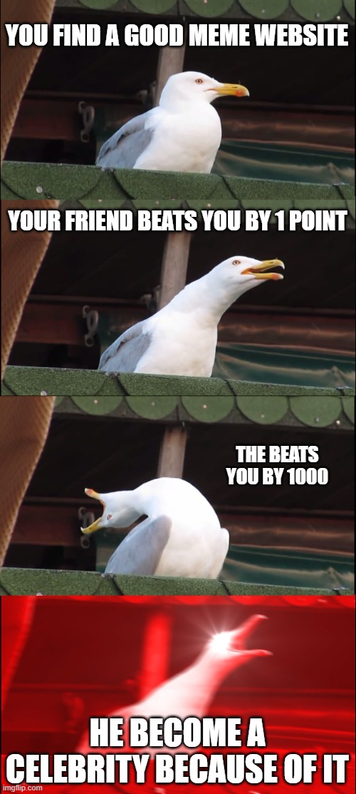 Inhaling Seagull | YOU FIND A GOOD MEME WEBSITE; YOUR FRIEND BEATS YOU BY 1 POINT; THE BEATS YOU BY 1000; HE BECOME A CELEBRITY BECAUSE OF IT | image tagged in memes,inhaling seagull | made w/ Imgflip meme maker
