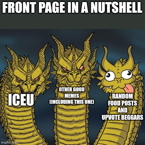 This is the entire front page in a nutshell, enjoy. =) | FRONT PAGE IN A NUTSHELL; OTHER GOOD MEMES (INCLUDING THIS ONE); ICEU; RANDOM FOOD POSTS AND UPVOTE BEGGARS | image tagged in three-headed dragon,front page,oh wow are you actually reading these tags | made w/ Imgflip meme maker