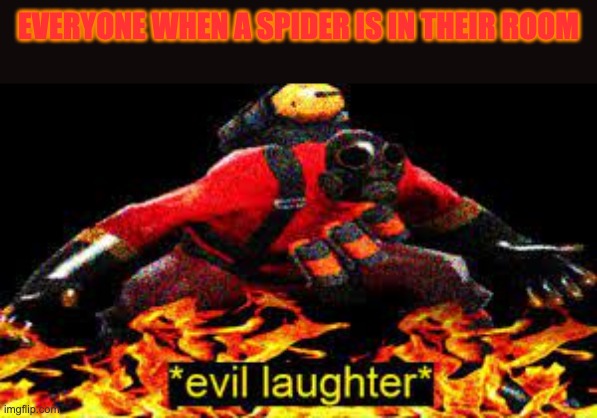 *evil laughter* | EVERYONE WHEN A SPIDER IS IN THEIR ROOM | image tagged in evil laughter | made w/ Imgflip meme maker