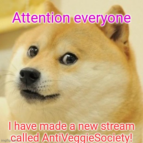 A N N O U N C E M E N T | Attention everyone; I have made a new stream called AntiVeggieSociety! | image tagged in memes,doge,announcement,oh wow are you actually reading these tags | made w/ Imgflip meme maker