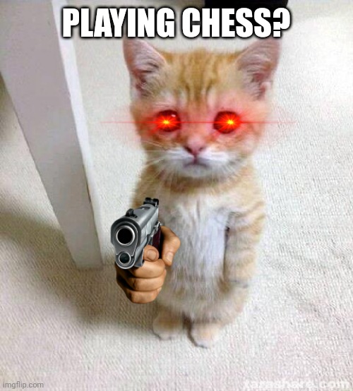 Checkmate | PLAYING CHESS? | image tagged in memes,cute cat,chess,mittens,checkmate,true story | made w/ Imgflip meme maker