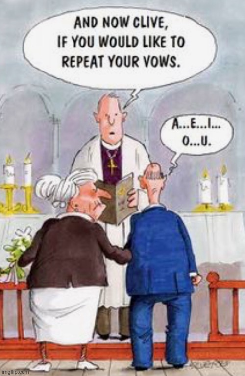 Old couple renewing their vows. | image tagged in minister,now clive repeat your vows,a e i o u,church,comics | made w/ Imgflip meme maker
