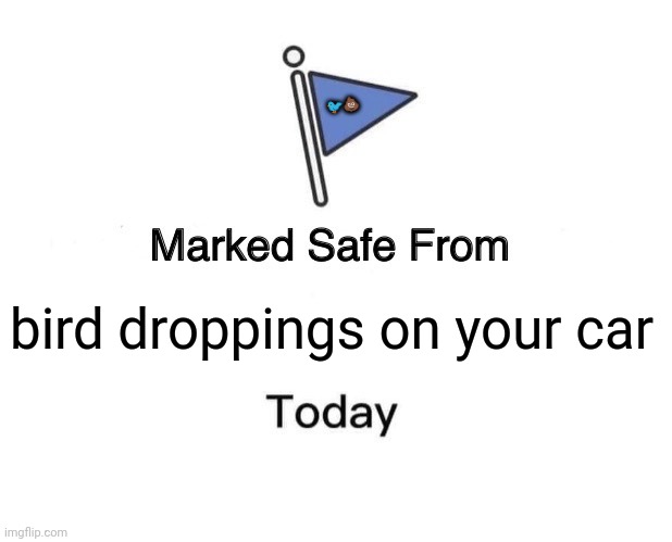 Marked Safe From Meme | 🐦💩; bird droppings on your car | image tagged in memes,birds,poop | made w/ Imgflip meme maker