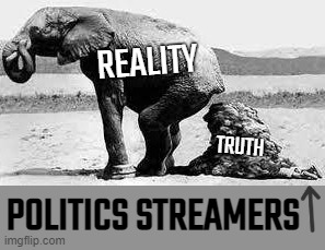 the truth hurts... and it often stinks... | REALITY; TRUTH; POLITICS STREAMERS | made w/ Imgflip meme maker