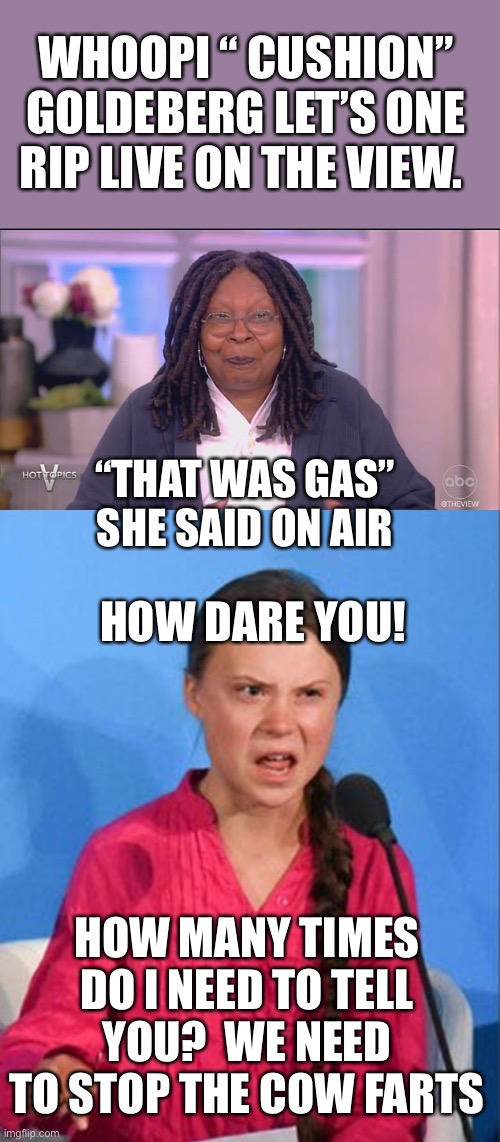 It’s just part of life. But sometimes it’s funny as heck! | WHOOPI “ CUSHION” GOLDEBERG LET’S ONE RIP LIVE ON THE VIEW. “THAT WAS GAS” SHE SAID ON AIR; HOW DARE YOU! HOW MANY TIMES DO I NEED TO TELL YOU?  WE NEED TO STOP THE COW FARTS | image tagged in greta thunberg how dare you,whoopi,pass gas,live on air,the view | made w/ Imgflip meme maker