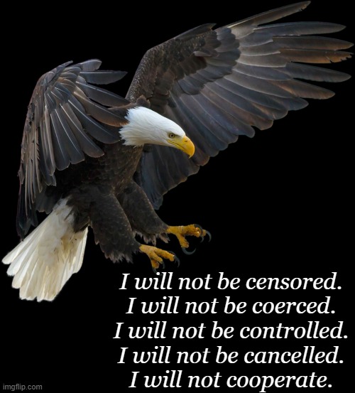 Free Bird | I will not be censored.
I will not be coerced.
I will not be controlled.
I will not be cancelled.
I will not cooperate. | image tagged in politics,censorship,control,coercion,eagle,freedom | made w/ Imgflip meme maker