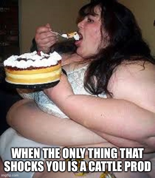 Fat Joke | WHEN THE ONLY THING THAT SHOCKS YOU IS A CATTLE PROD | image tagged in fat girl cake pron,cattle prod,shock,fat joke,shocking | made w/ Imgflip meme maker