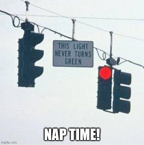 NAP TIME! | image tagged in durl earl | made w/ Imgflip meme maker