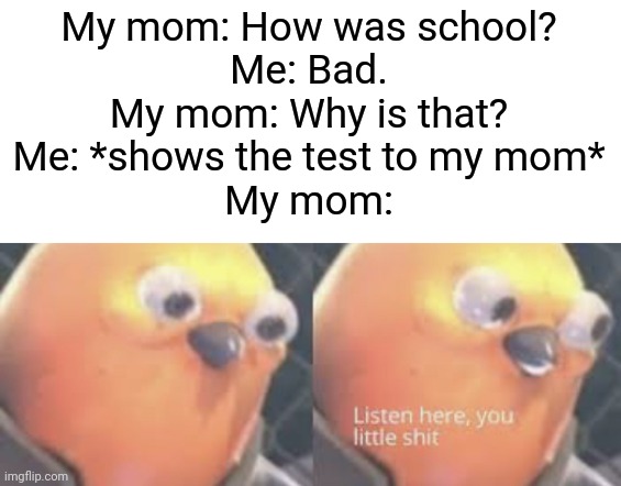 It happens, though. |  My mom: How was school?
Me: Bad.
My mom: Why is that?
Me: *shows the test to my mom*
My mom: | image tagged in listen here you little shit bird,memes,school,life sucks | made w/ Imgflip meme maker