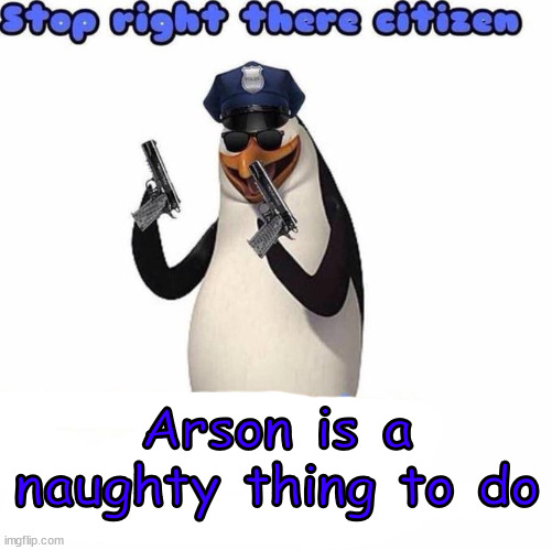 Stop right there citizen | Arson is a naughty thing to do | image tagged in stop right there citizen | made w/ Imgflip meme maker