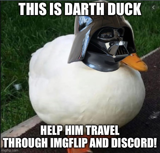 Darth duck | THIS IS DARTH DUCK; HELP HIM TRAVEL THROUGH IMGFLIP AND DISCORD! | image tagged in duck,darth vader,cute | made w/ Imgflip meme maker