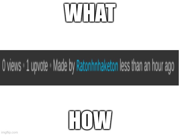 WHAT |  WHAT; HOW | image tagged in what,how | made w/ Imgflip meme maker