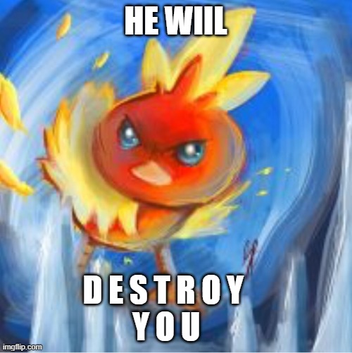 Angry Torchic | HE WIIL D E S T R O Y    
Y O U | image tagged in angry torchic | made w/ Imgflip meme maker