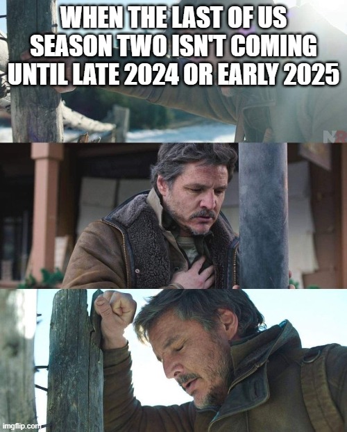 its true you know | WHEN THE LAST OF US SEASON TWO ISN'T COMING UNTIL LATE 2024 OR EARLY 2025 | image tagged in joel from the last of us has a panic attack | made w/ Imgflip meme maker