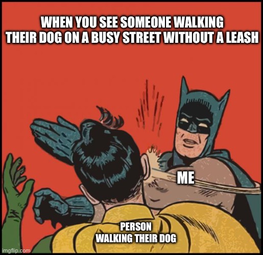 When Someone Walks Their Dog Without A Leash | WHEN YOU SEE SOMEONE WALKING THEIR DOG ON A BUSY STREET WITHOUT A LEASH; ME; PERSON WALKING THEIR DOG | image tagged in batman slapping robin no bubbles,dog,walk the dog,leash,walking | made w/ Imgflip meme maker