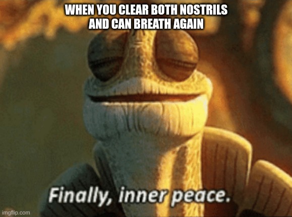 The best feeling | WHEN YOU CLEAR BOTH NOSTRILS
AND CAN BREATH AGAIN | image tagged in finally inner peace,sad but true | made w/ Imgflip meme maker