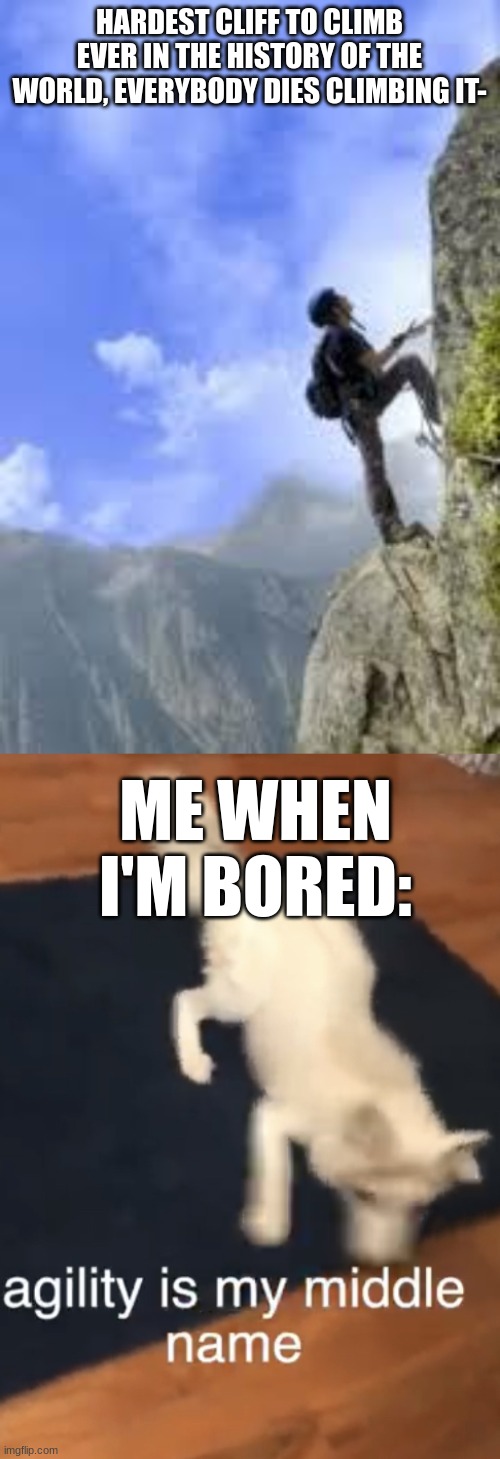 HARDEST CLIFF TO CLIMB EVER IN THE HISTORY OF THE WORLD, EVERYBODY DIES CLIMBING IT-; ME WHEN I'M BORED: | image tagged in climbing mountain,adhd fox | made w/ Imgflip meme maker