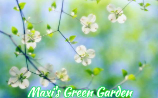 flowers | Maxi's Green Garden | image tagged in flowers,slavic,maxi's green garden,maxis green garden | made w/ Imgflip meme maker