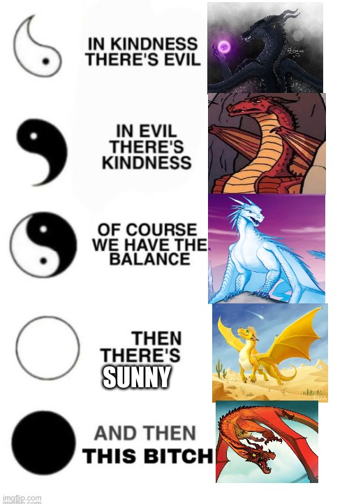 Yin and Yang | SUNNY | image tagged in yin and yang | made w/ Imgflip meme maker