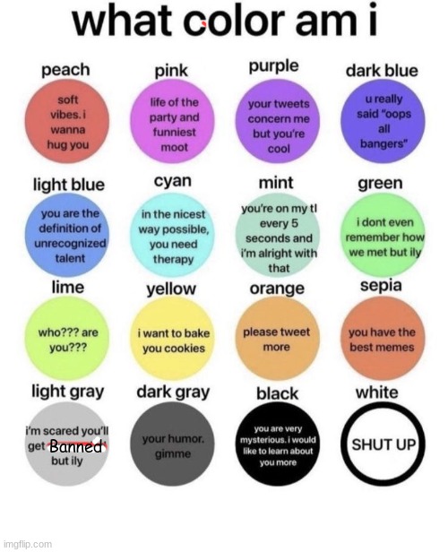 What Color Am I? | Banned | image tagged in what color am i | made w/ Imgflip meme maker