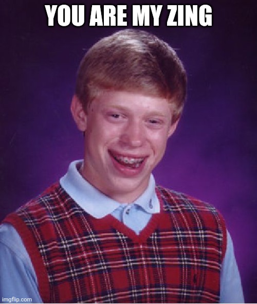 Bad Luck Brian | YOU ARE MY ZING | image tagged in memes,bad luck brian | made w/ Imgflip meme maker