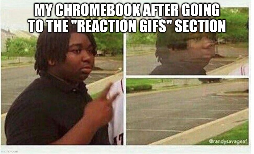 0-0 my chromebook shut down | MY CHROMEBOOK AFTER GOING TO THE "REACTION GIFS" SECTION | image tagged in black guy disappearing | made w/ Imgflip meme maker