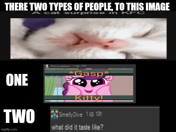 really | THERE TWO TYPES OF PEOPLE, TO THIS IMAGE; ONE; TWO | image tagged in ummmmmm | made w/ Imgflip meme maker
