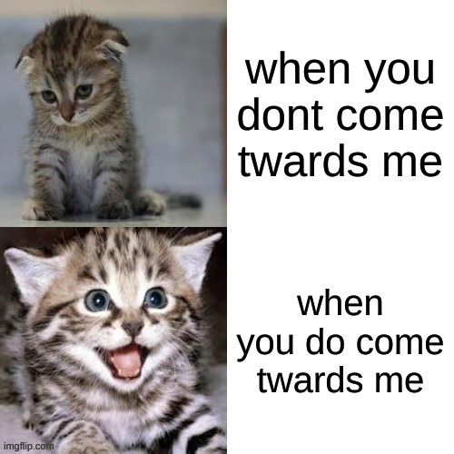 Sad Cat to Happy Cat | when you dont come twards me when you do come twards me | image tagged in sad cat to happy cat | made w/ Imgflip meme maker