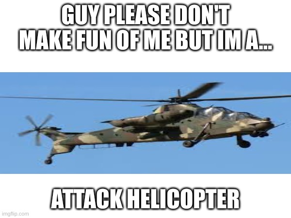 im a gender | GUY PLEASE DON'T MAKE FUN OF ME BUT IM A... ATTACK HELICOPTER | image tagged in attack helicopter | made w/ Imgflip meme maker