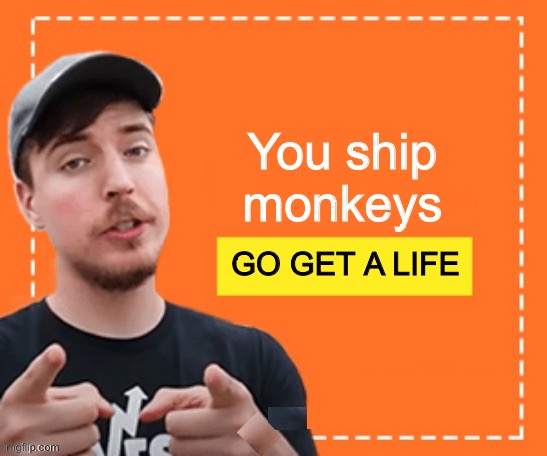 Mr. beast honey ad | You ship monkeys; GO GET A LIFE | image tagged in mr beast honey ad | made w/ Imgflip meme maker