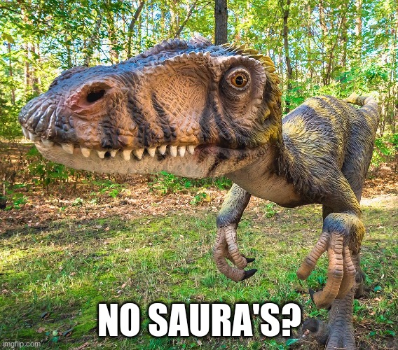 No saura's? | NO SAURA'S? | image tagged in goofy | made w/ Imgflip meme maker