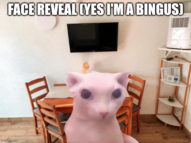 FACE REVEAL (YES I'M A BINGUS) | made w/ Imgflip meme maker