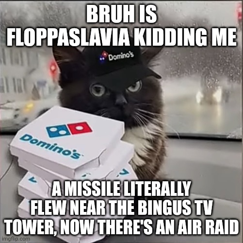 Dominos Cat | BRUH IS FLOPPASLAVIA KIDDING ME; A MISSILE LITERALLY FLEW NEAR THE BINGUS TV TOWER, NOW THERE'S AN AIR RAID | image tagged in dominos cat | made w/ Imgflip meme maker