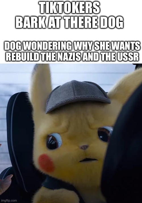 TIKTOKERS BARK AT THERE DOG; DOG WONDERING WHY SHE WANTS REBUILD THE NAZIS AND THE USSR | image tagged in unsettled detective pikachu | made w/ Imgflip meme maker