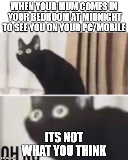 this is awkward | WHEN YOUR MUM COMES IN  YOUR BEDROOM AT MIDNIGHT TO SEE YOU ON YOUR PC/MOBILE; ITS NOT WHAT YOU THINK | image tagged in oh no cat | made w/ Imgflip meme maker