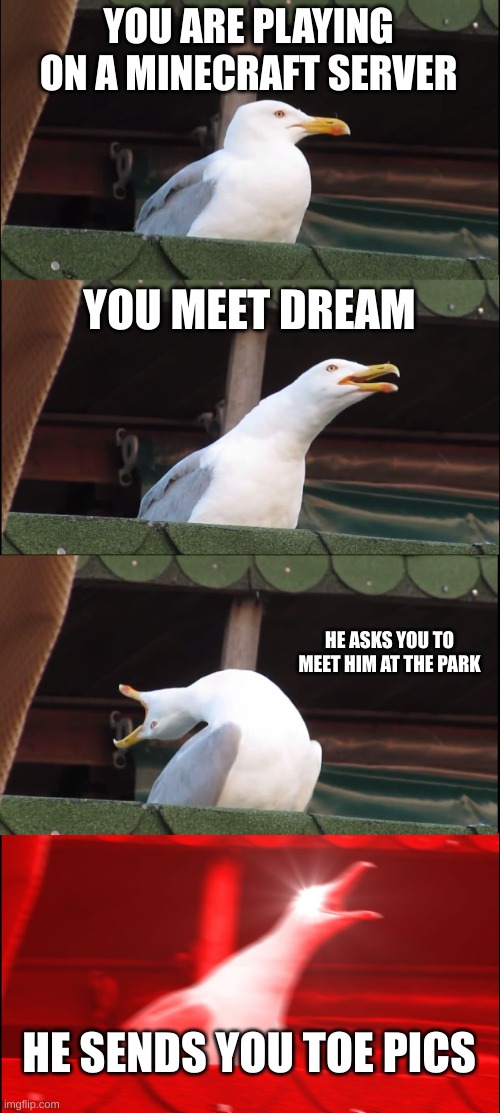 Inhaling Seagull | YOU ARE PLAYING ON A MINECRAFT SERVER; YOU MEET DREAM; HE ASKS YOU TO MEET HIM AT THE PARK; HE SENDS YOU TOE PICS | image tagged in memes,inhaling seagull | made w/ Imgflip meme maker