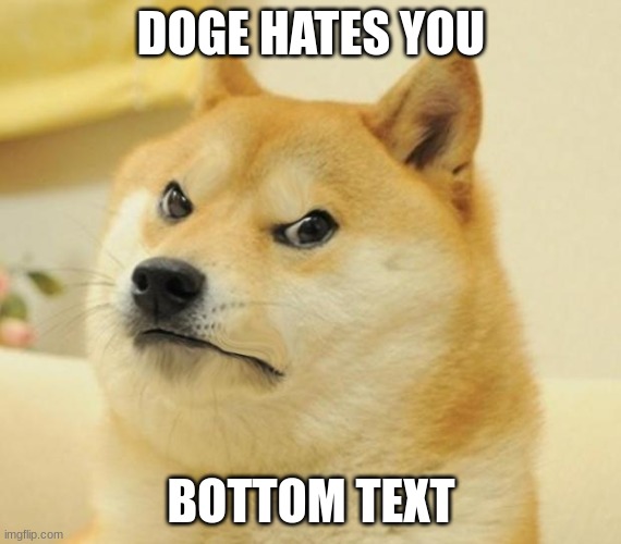 my first template! :D | DOGE HATES YOU; BOTTOM TEXT | image tagged in doge hates you | made w/ Imgflip meme maker