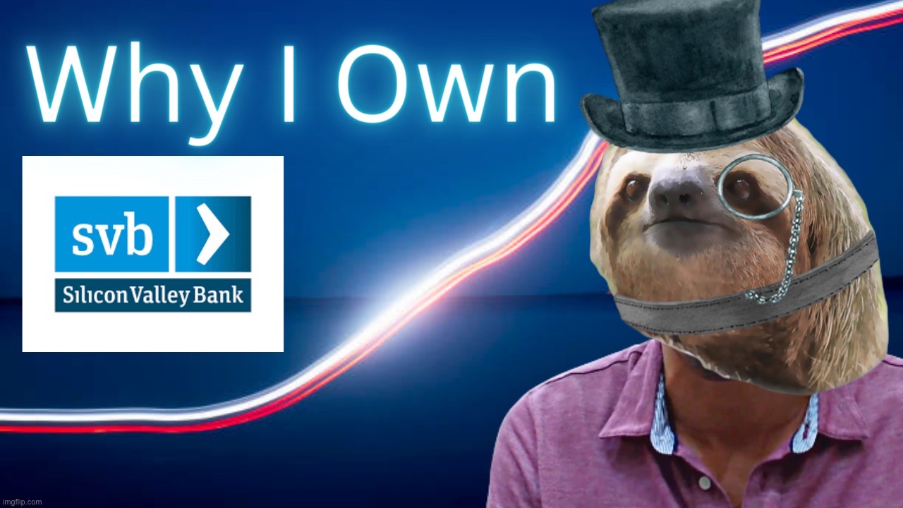 High Quality Sloth why I own Stable Value Bank Blank Meme Template
