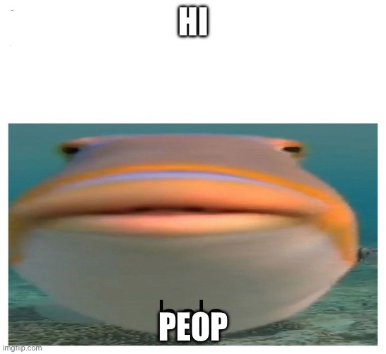 helo fish | HI; PEOPLE | image tagged in helo fish | made w/ Imgflip meme maker