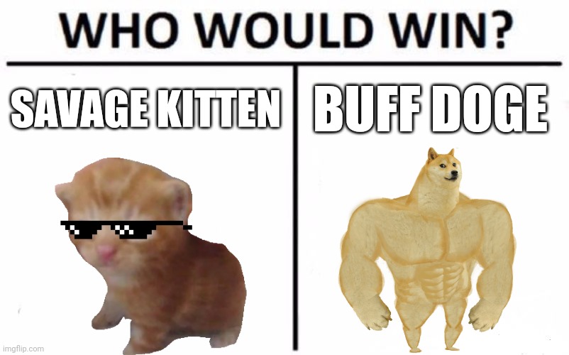 Savage Kitten Vs Buffe Doge | SAVAGE KITTEN; BUFF DOGE | image tagged in memes,who would win,kitten,doge | made w/ Imgflip meme maker