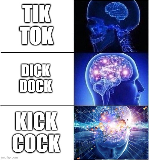 yes | TIK TOK; DICK DOCK; KICK COCK | image tagged in expanding brain meme template 3 stages extreme | made w/ Imgflip meme maker