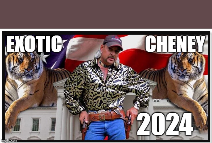 joe exotic | EXOTIC                       CHENEY; 2024 | image tagged in joe exotic | made w/ Imgflip meme maker