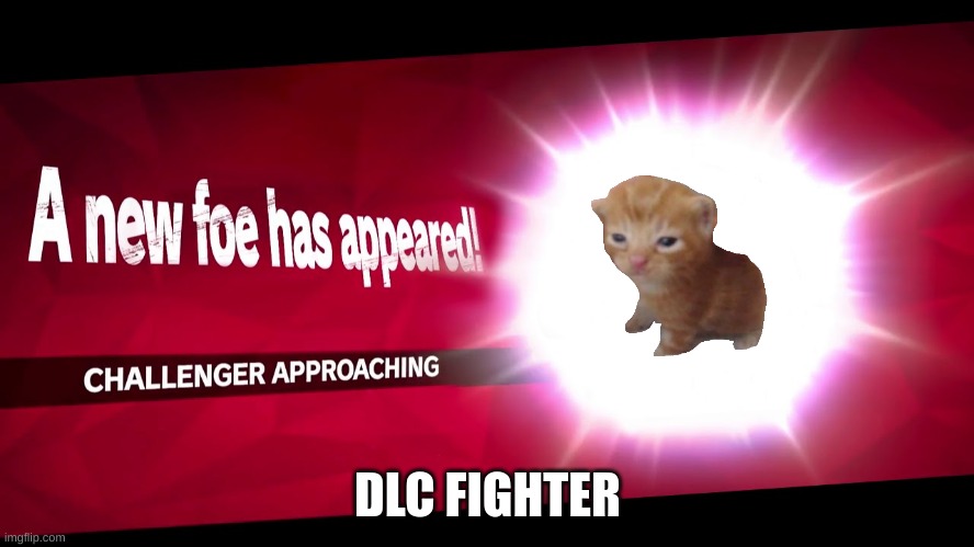 cat | DLC FIGHTER | image tagged in super smash bros challenger approaching | made w/ Imgflip meme maker