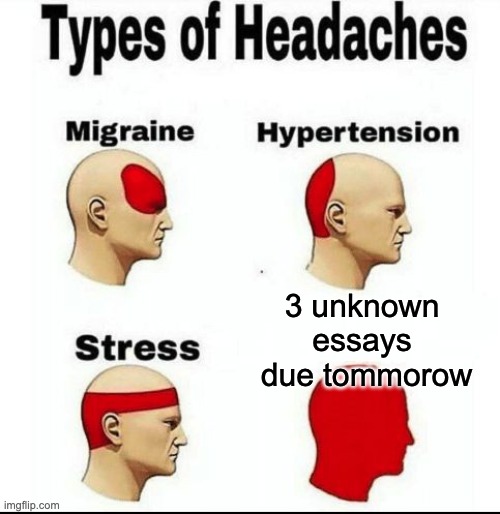 TRUE | 3 unknown 
essays 
due tommorow | image tagged in types of headaches meme | made w/ Imgflip meme maker